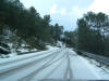 DSCF0008.JPG (401489 byte)