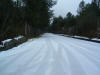 DSCF0021.JPG (384474 byte)