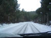 DSCF0030.JPG (401483 byte)