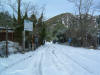 DSCF0015.JPG (321108 byte)