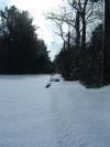 DSCF0016.JPG (316599 byte)