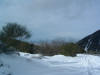DSCF0023.JPG (309965 byte)