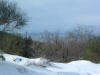 DSCF0024.JPG (301170 byte)