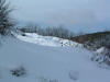 DSCF0025.JPG (291505 byte)