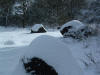 DSCF0026.JPG (307913 byte)