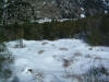 DSCF0029.JPG (316823 byte)