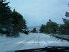 DSCF0032.JPG (314138 byte)