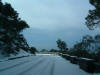 DSCF0036.JPG (314381 byte)