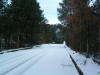DSCF0038.JPG (315414 byte)