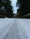 DSCF0040.JPG (306141 byte)