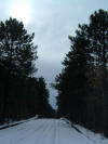 DSCF0041.JPG (312464 byte)