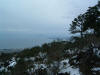 DSCF0044.JPG (317558 byte)