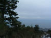 DSCF0047.JPG (312460 byte)