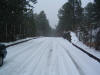 DSCF0051.JPG (314624 byte)