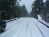 DSCF0052.JPG (310087 byte)