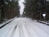 DSCF0054.JPG (312556 byte)