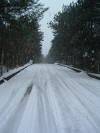 DSCF0055.JPG (297820 byte)