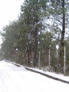 DSCF0056.JPG (338187 byte)