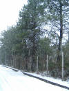 DSCF0057.JPG (335551 byte)