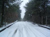 DSCF0058.JPG (318652 byte)