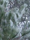 DSCF0065.JPG (311339 byte)